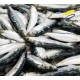 sardines à l'huile d'olive bio millésime 2023 
