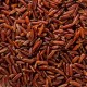 riz rouge bio complet de Camargue IGP détail du grain
