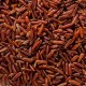 riz rouge bio complet de Camargue IGP détail du grain