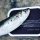 sardines à l'huile d'olive bio millésime 2019 de la compagnie bretonne traitées fraiches