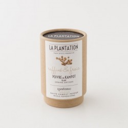 Poivre blanc de Kampot IGP en tube kraft de 50 g