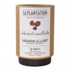 Cardamome entière de la forêt La Plantation en tube de 50 g