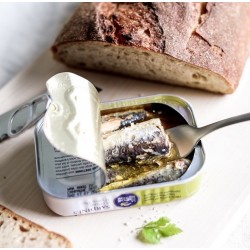 sardines maquereaux