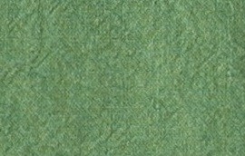 prairie