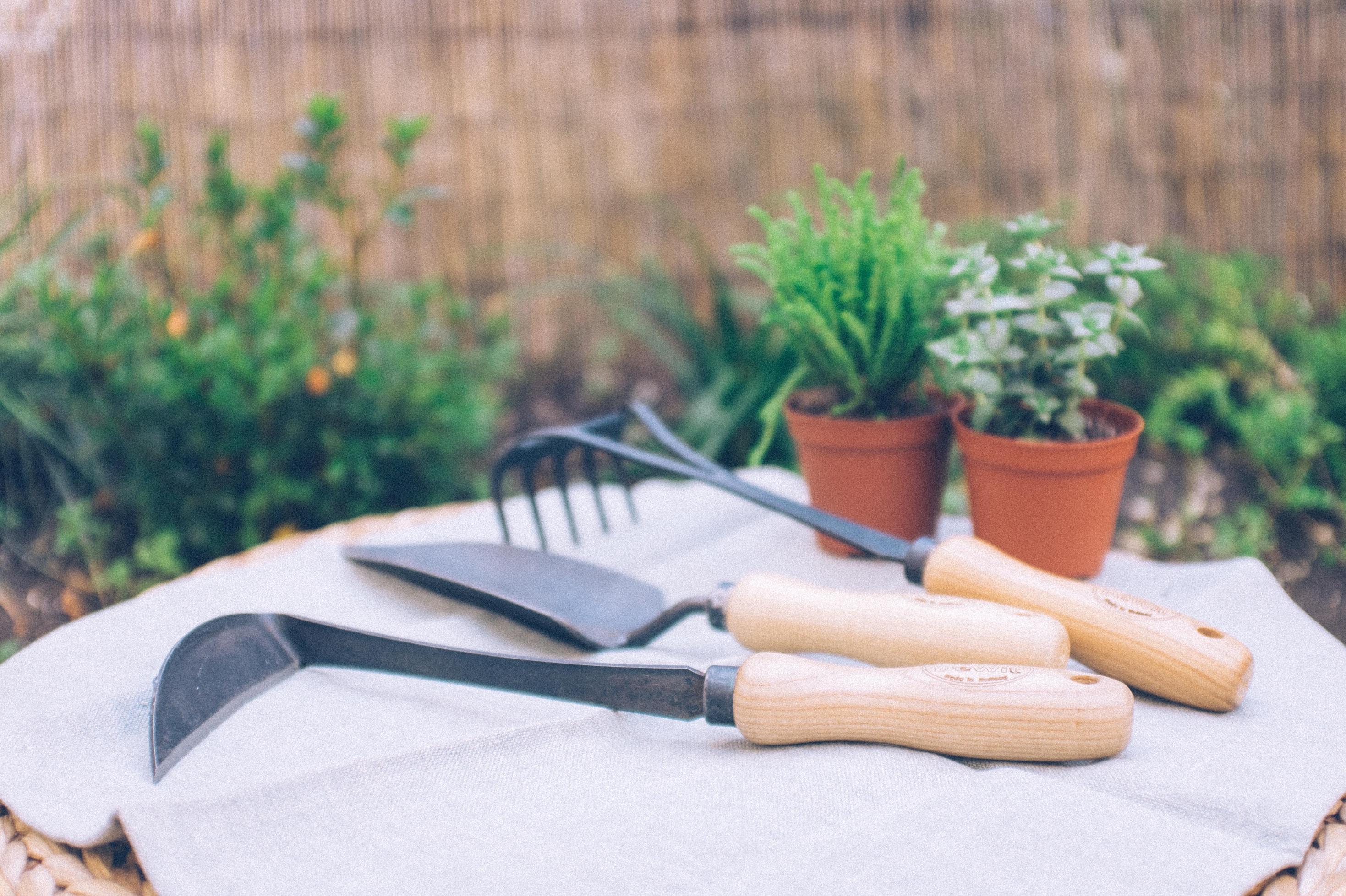 Outils de jardin forgés Dewit et Landmade